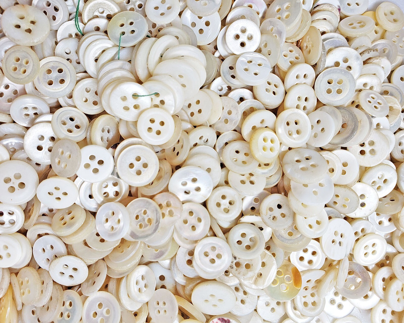 100 Vintage Cleaned & Polished 4-Hole Mother of Pearl Buttons ~ 3/8″ to 1/2″