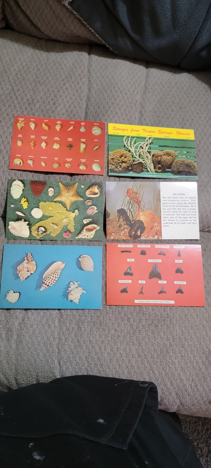 Vintage Postcards Collectible