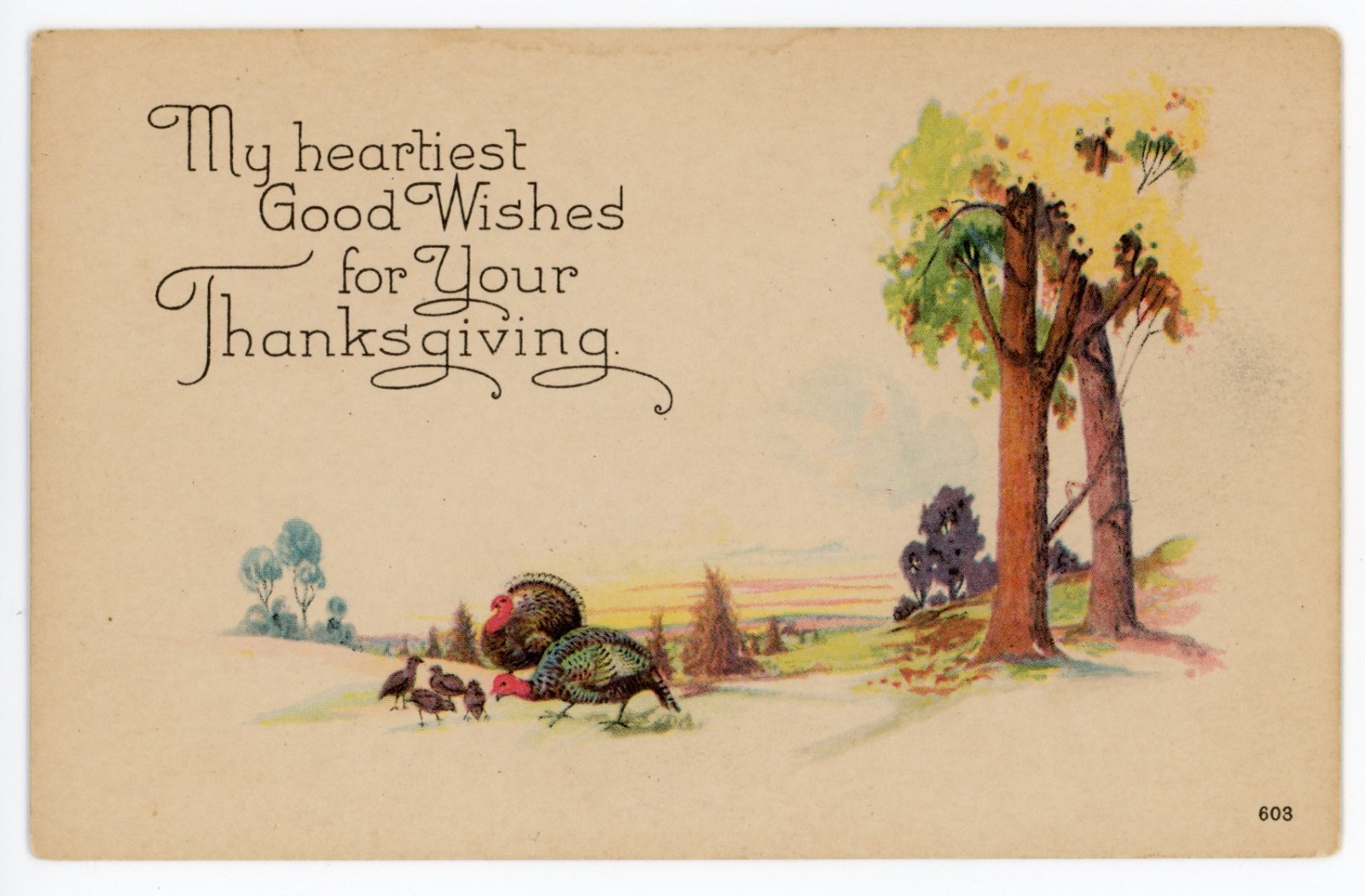 Vintage Postcard Thanksgiving Greetings Turkey Family Trees PCK Unposted Divided