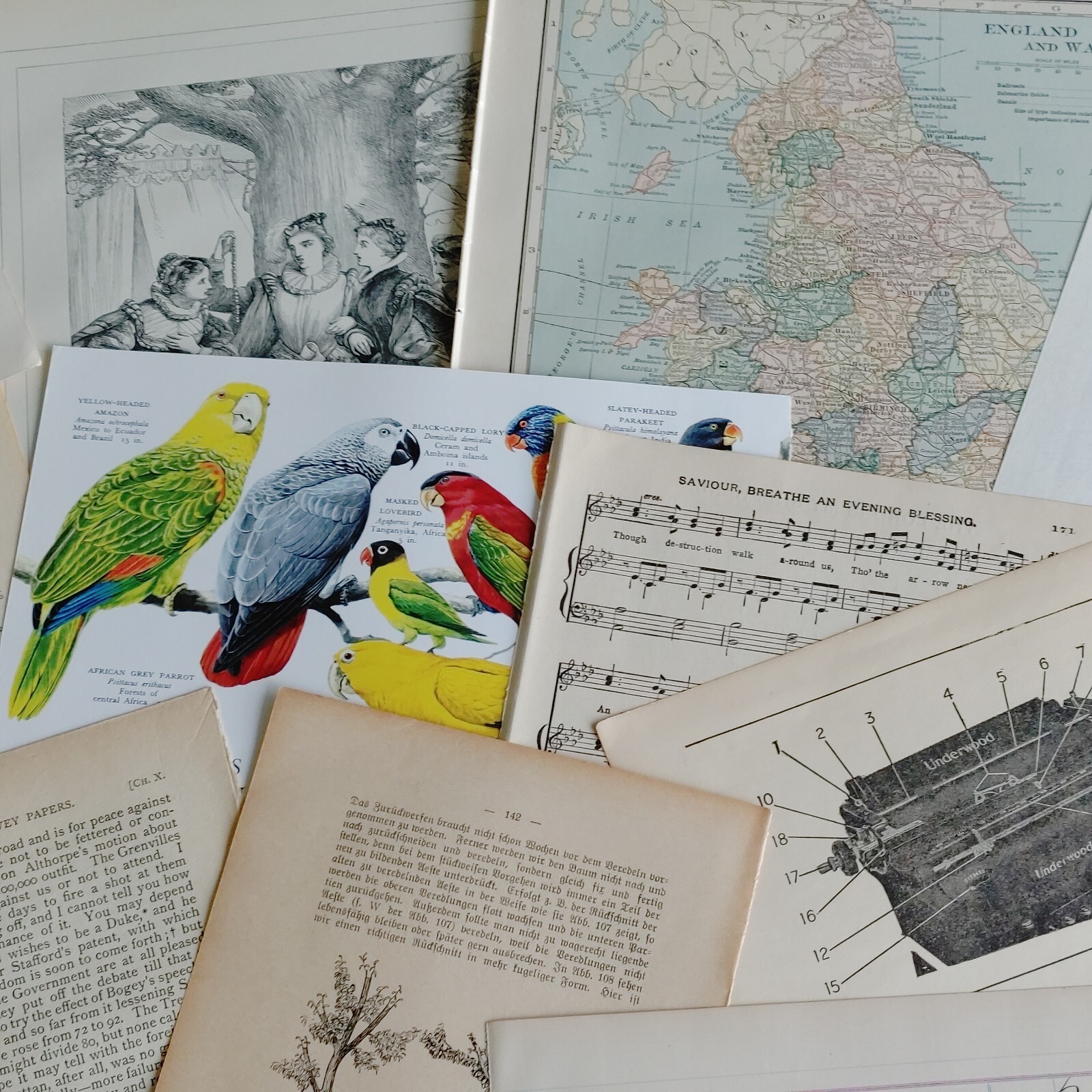 1 Lb. Vintage Paper Ephemera Lot Junk Journals Mixed Media Craft Collage