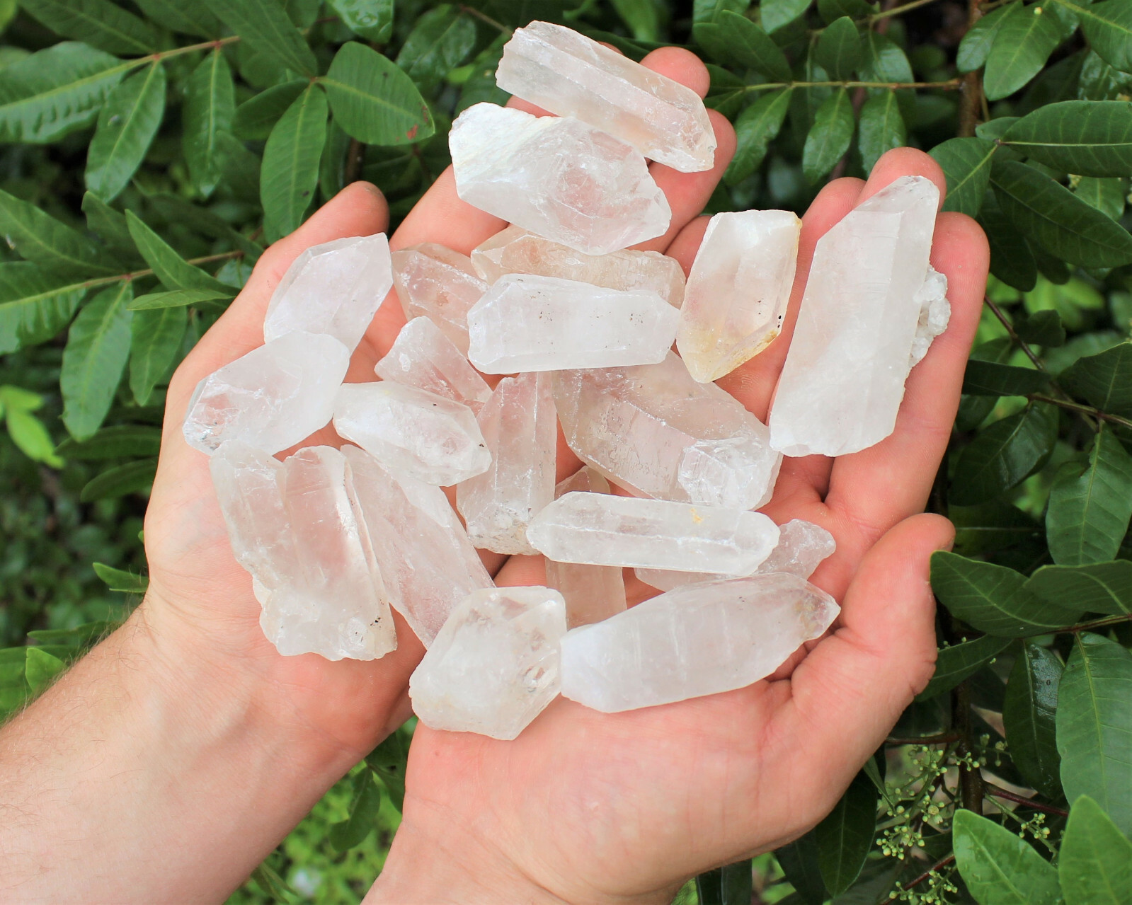 Bulk Wholesale 11 lb Lot CLEARANCE Natural Quartz Crystal Points (GREAT VALUE)