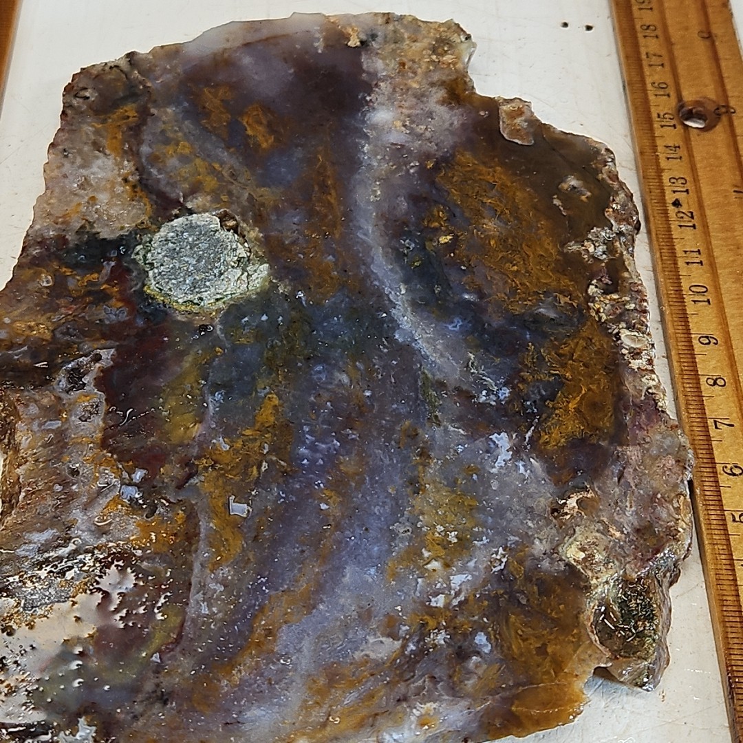 Royal blue agate slab, MX Blue agate golden moss, 7″ x 5″ x 1/4″ 12.0OZ