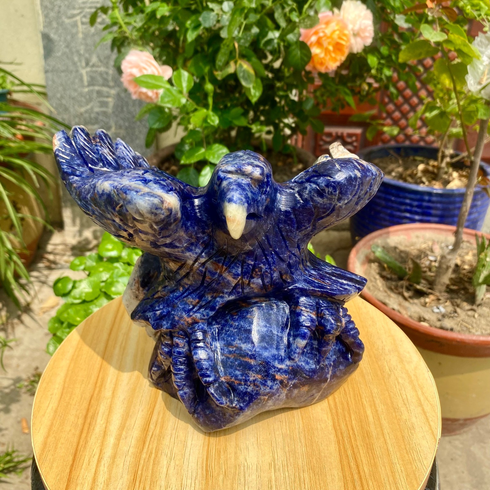 6.4LB Hand Carved Blue Agate Eagle Natural Crystal Animal Sculpture
