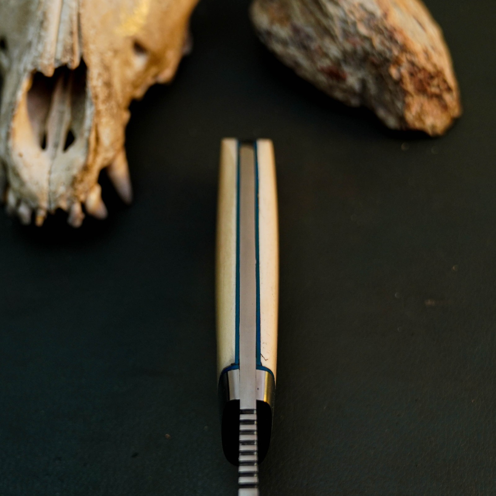 8.2″ D2 EDC Hunting Fixed Blade Knife Full Tang Camel Bone Handle Leather Sheath