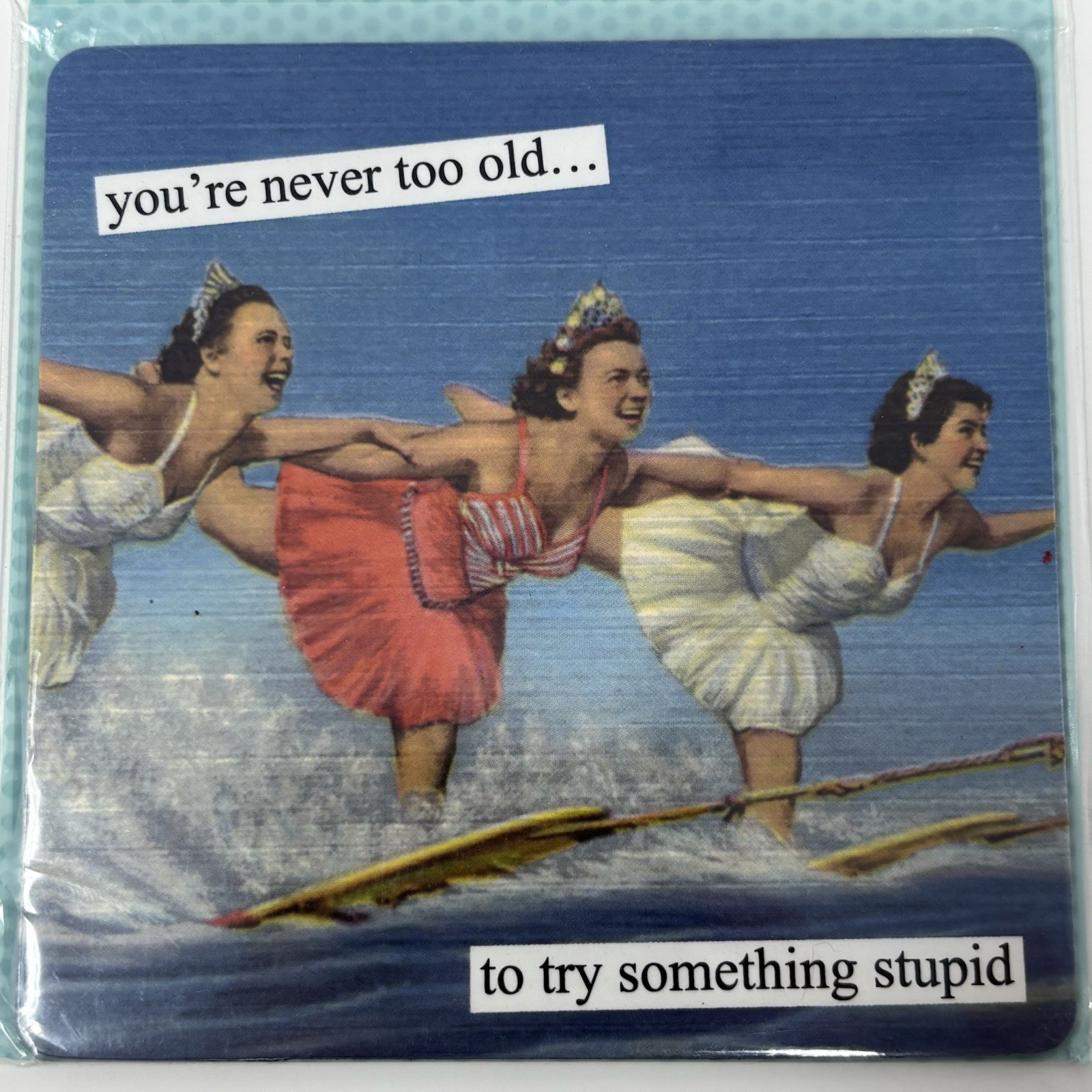 Anne Taintor „You’re Never Too Old To Try Something Stupid“ Funny Fridge Magnet