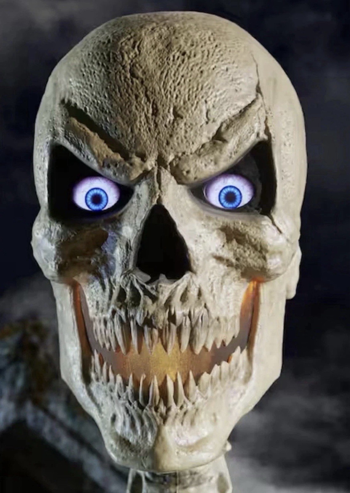Home Accents Holiday 24SV24254 Standard Skeleton Scary Head 1010851067 NIB