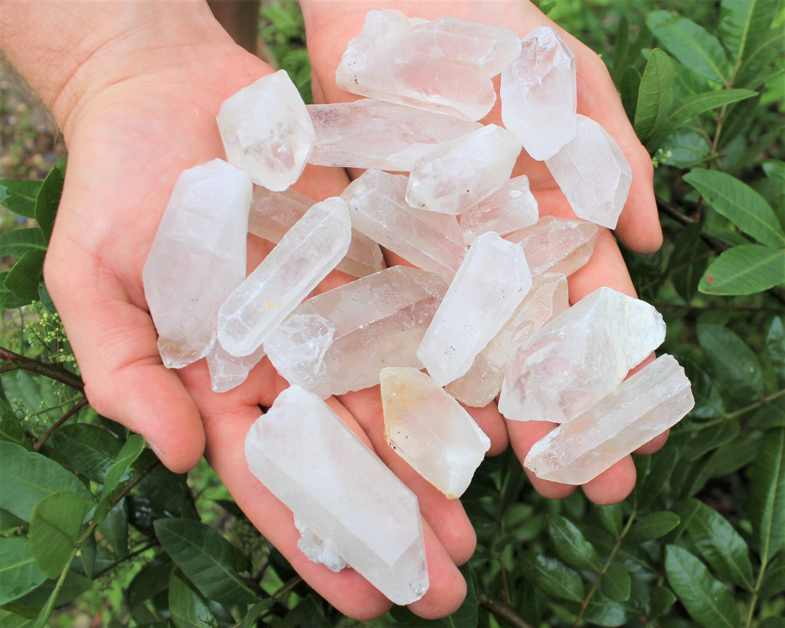 Bulk Wholesale 11 lb Lot CLEARANCE Natural Quartz Crystal Points (GREAT VALUE)
