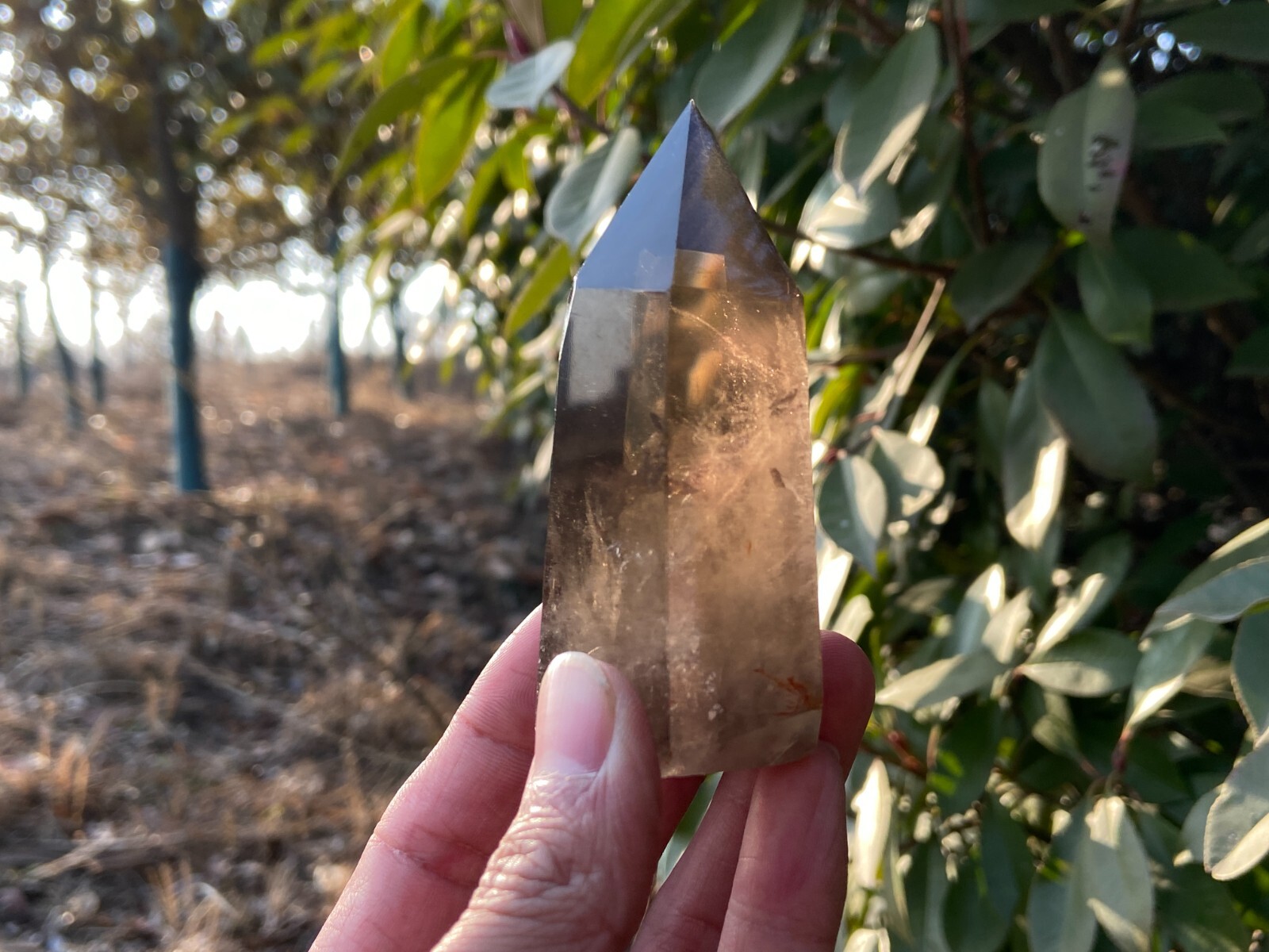 0.33LB TOP! Natural smoky quartz obelisk crystal wand point tower reiki healing