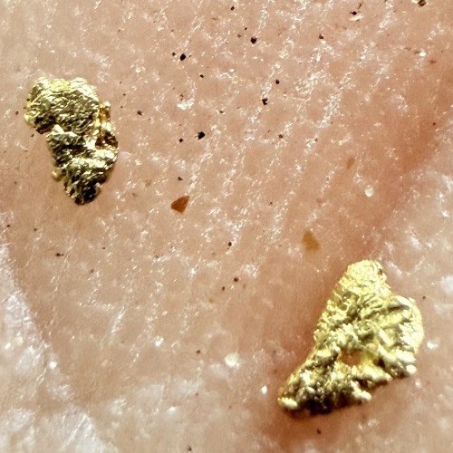 Gold Paydirt Covered Creek FIND .10 GOLD GUARANTEED 2 Pickers, Flour And Flake