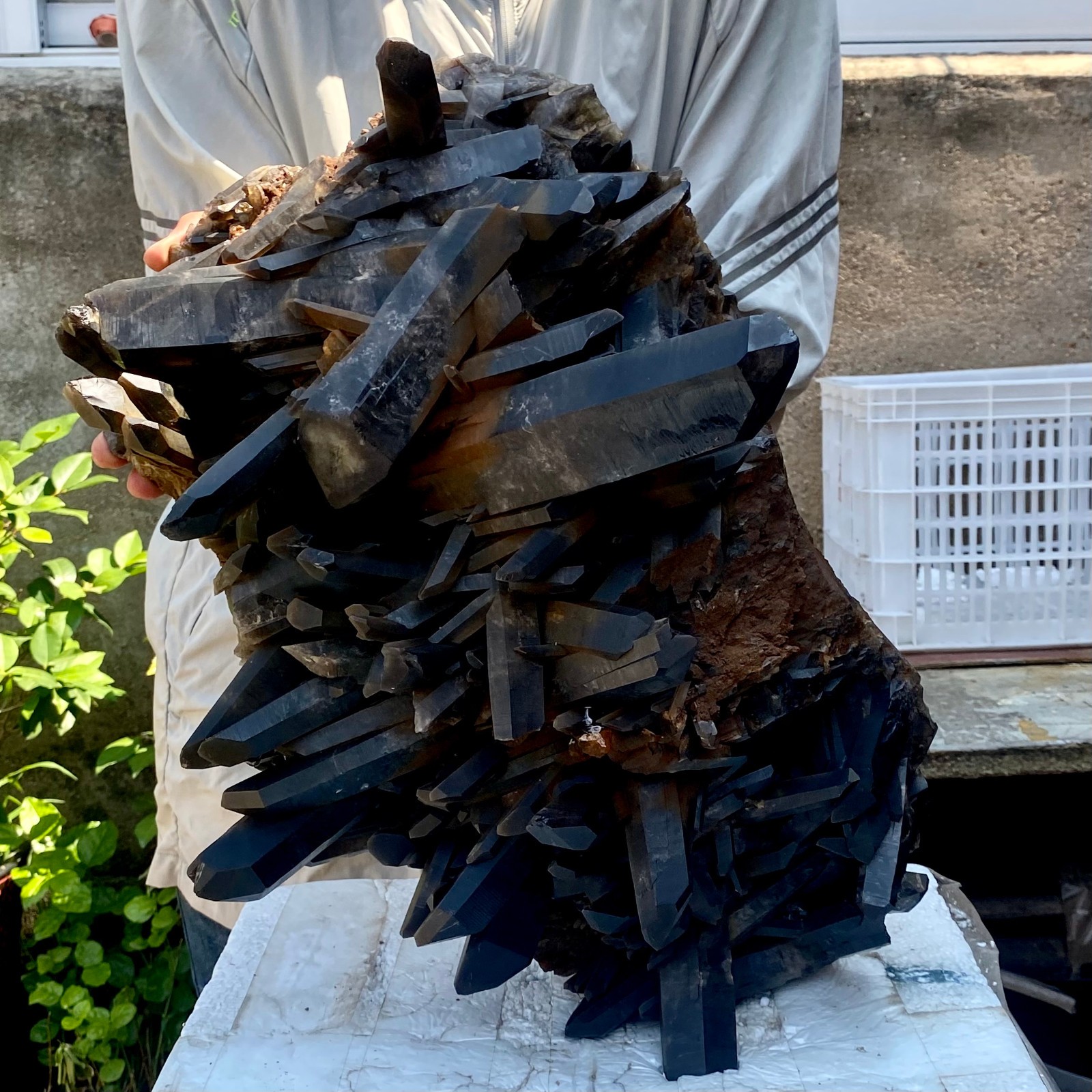 57LB Tea black Crystal quartz Cluster Mineral Specimen Healing reiki