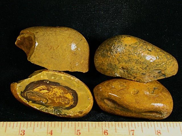 Royal Sahara Jasper® 4 Pc. Rough Nodules 2 Lb. 8 oz.~ # 12