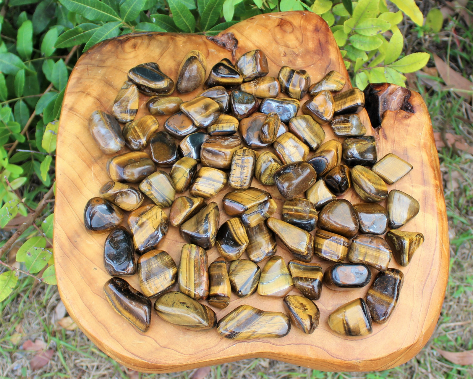 1/2 lb Bulk Lot Large Gold Tiger Eye Tumbled Stone Crystal Healing Reiki 8 oz