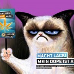 Grumpycat Prohibition wegkiffen