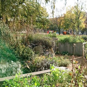 Auf den Bild ist der Garten von dem Verein Stadtgärten zu sehen. Man sieht einen Ausschnitt mit Hochbeeten und mit Kräutern bewachsenen Steinen.