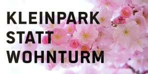 Auf dem Bild sind Kirschblüten zu sehen.